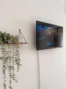 SeaVibe Summer Studios Mamaia Nord