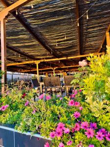 Hotel Enera
