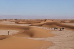 Camp la mer de sable