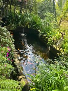 Tina Homestay