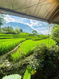 Ying Charm Homestay Valley View