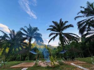 KhaoSok Malin Glamping