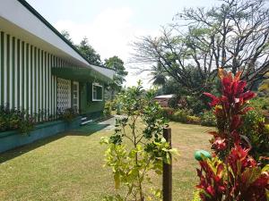 Alps View Residence