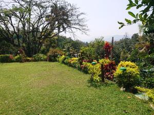 Alps View Residence