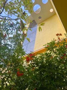 JM Home Stays