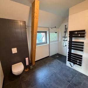 Charmant studio climatisé Kintzheim