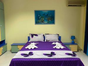 GALA APARTMENT