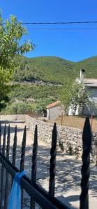 Bratica Domaća