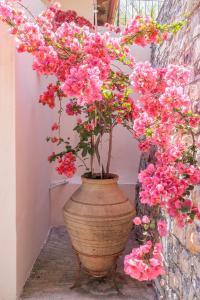 Pyrgos Country House
