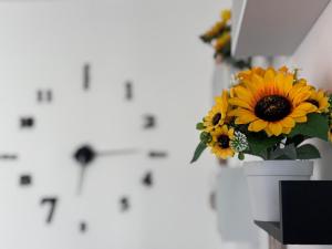 Sunflower Apartment City Center