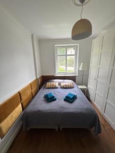 Apartament przy Kanale Łuczańskim