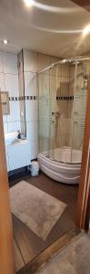 Krynica Zdrój Apartament II piętro - Apartamenty w Górach 105