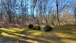 Kawa No Mori Villa Karuizawa - Ghibi-Like Enchanted Riverside Moss Garden Forest Retreat