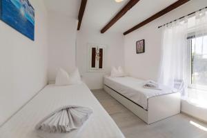 Apartment Gracia