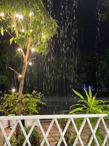 Bay Homestay