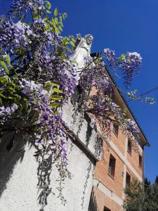 Oasi della Divina Volontà