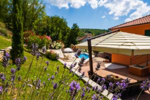 Apartment Ana with private pool
