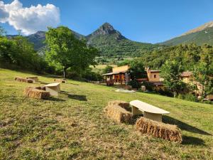 Agriturismo Vita Elementaris, tra Spoleto e la Cascata delle Marmore