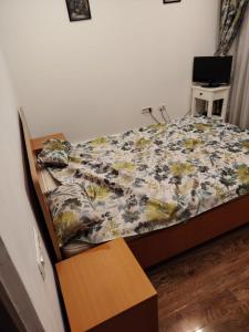 Apartament Centru