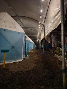 Lake N Trails Exotic Glamping