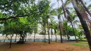 Lake N Trails Exotic Glamping