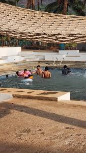 Lake N Trails Exotic Glamping
