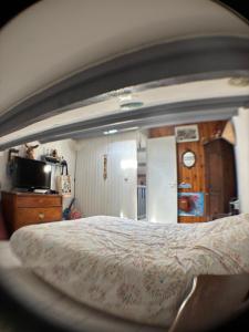 Camargue - Languedoc - Provence - Aigues-Mortes