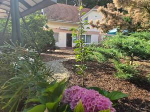 Malom Apartman
