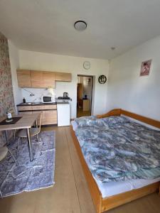 SALEM apartmany