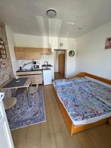 SALEM apartmany