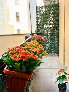 UrbanSuite Torino
