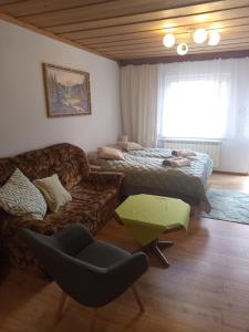 U Kasecki - apartament 2
