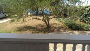 APARTMANI ŠIME Privlaka