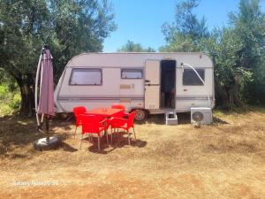 Aquariumi Jale Camping