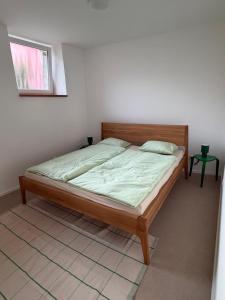 Apartmán Na Mýtě