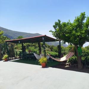 Casa Lola