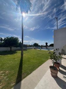 San Calixto 8