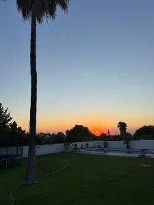 San Calixto 8