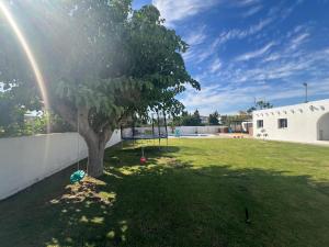 San Calixto 8