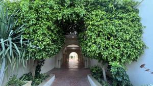 Residence Golden Beach au bord de la mer