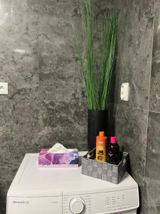 Apartment AFRODITA Trnava - Historic centre