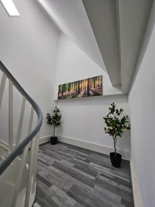 Ferienwohnung In der Altstadt
