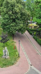 Widok na Zamek