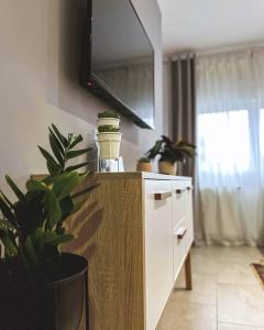 Apartments Velickovic