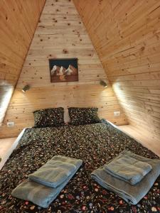 Transylvantures Cabin