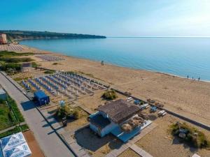 Obzor Sea sea star