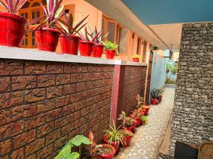 HomeStay