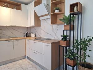 Apartment Garden Residence with private parking