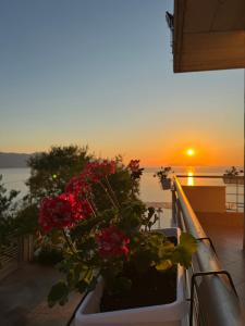 Samos Home Vlore