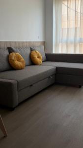 Apartamentos FELIP 2